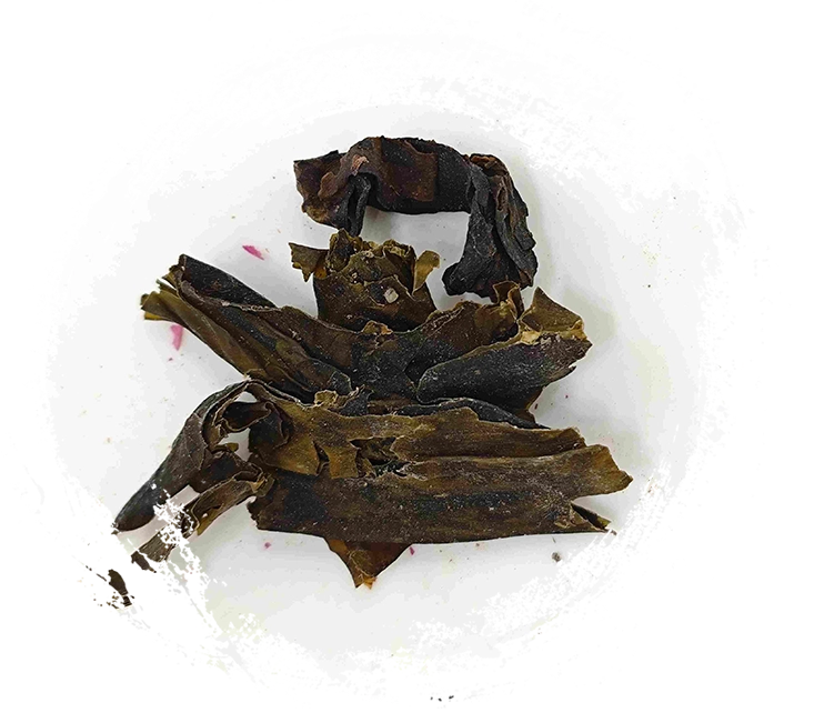 コンブ（クーンブ）