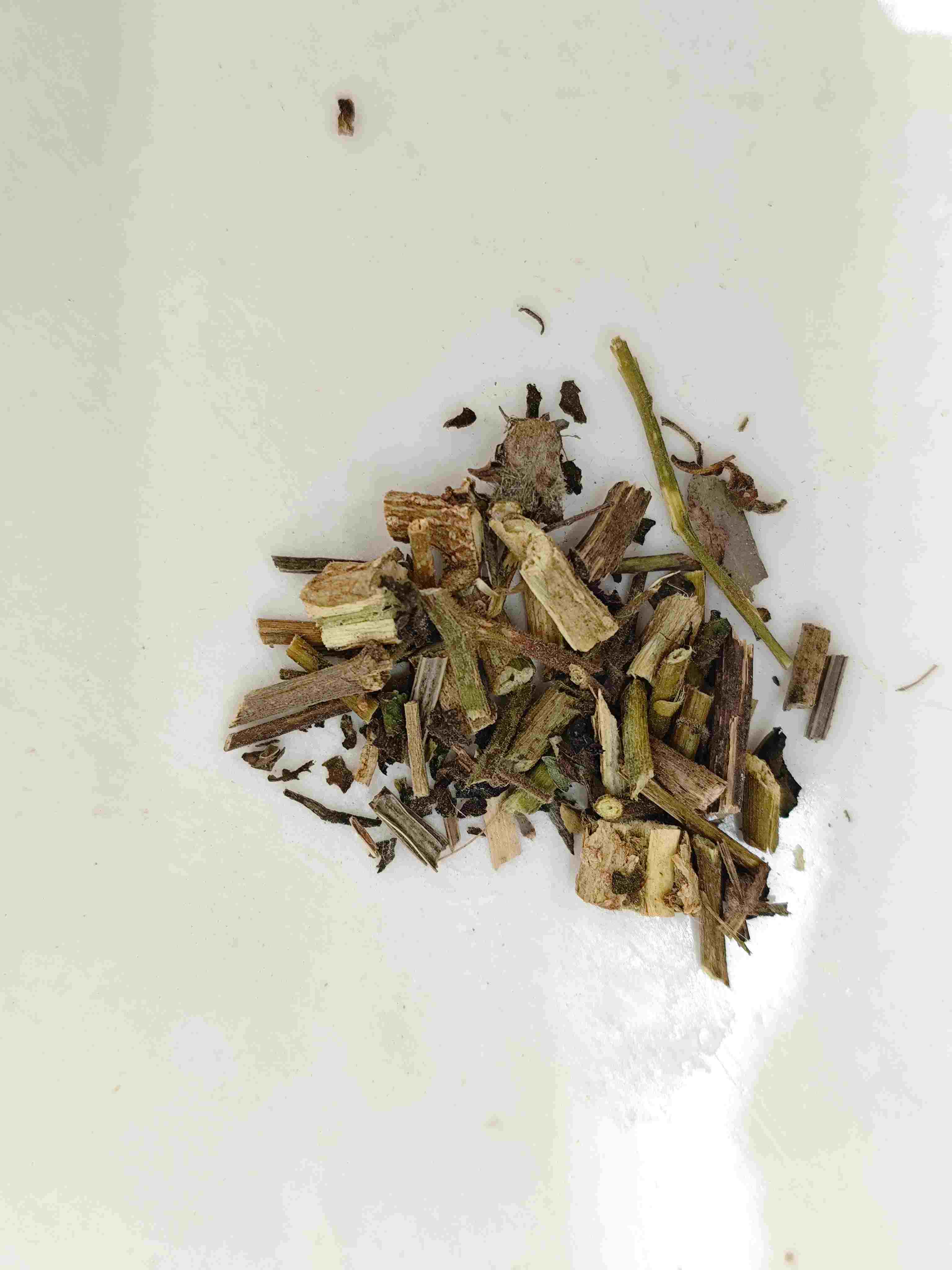 白い芽(báiyīng)