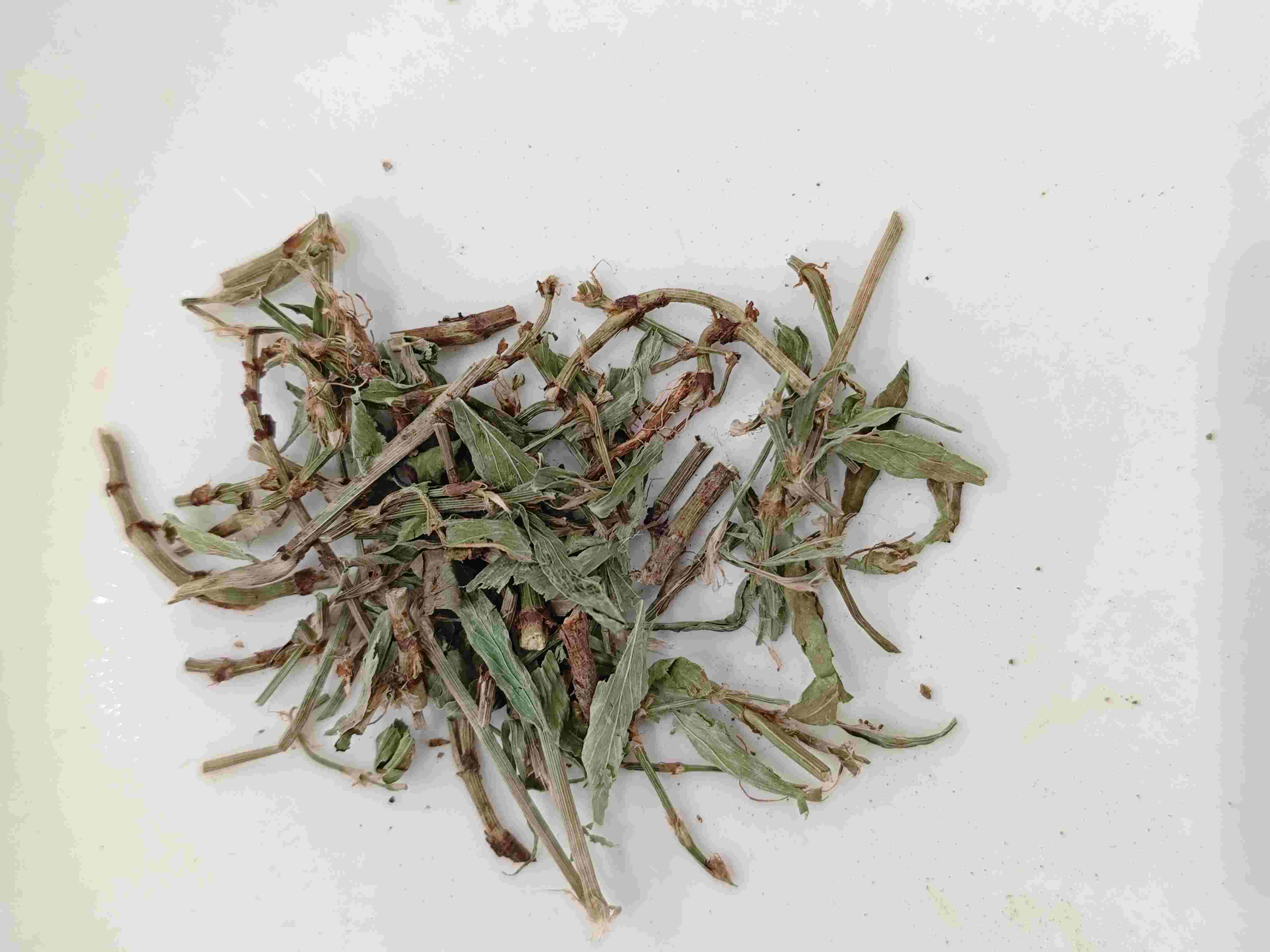 Dogwood Herb / Knotgrass(piānxù)
