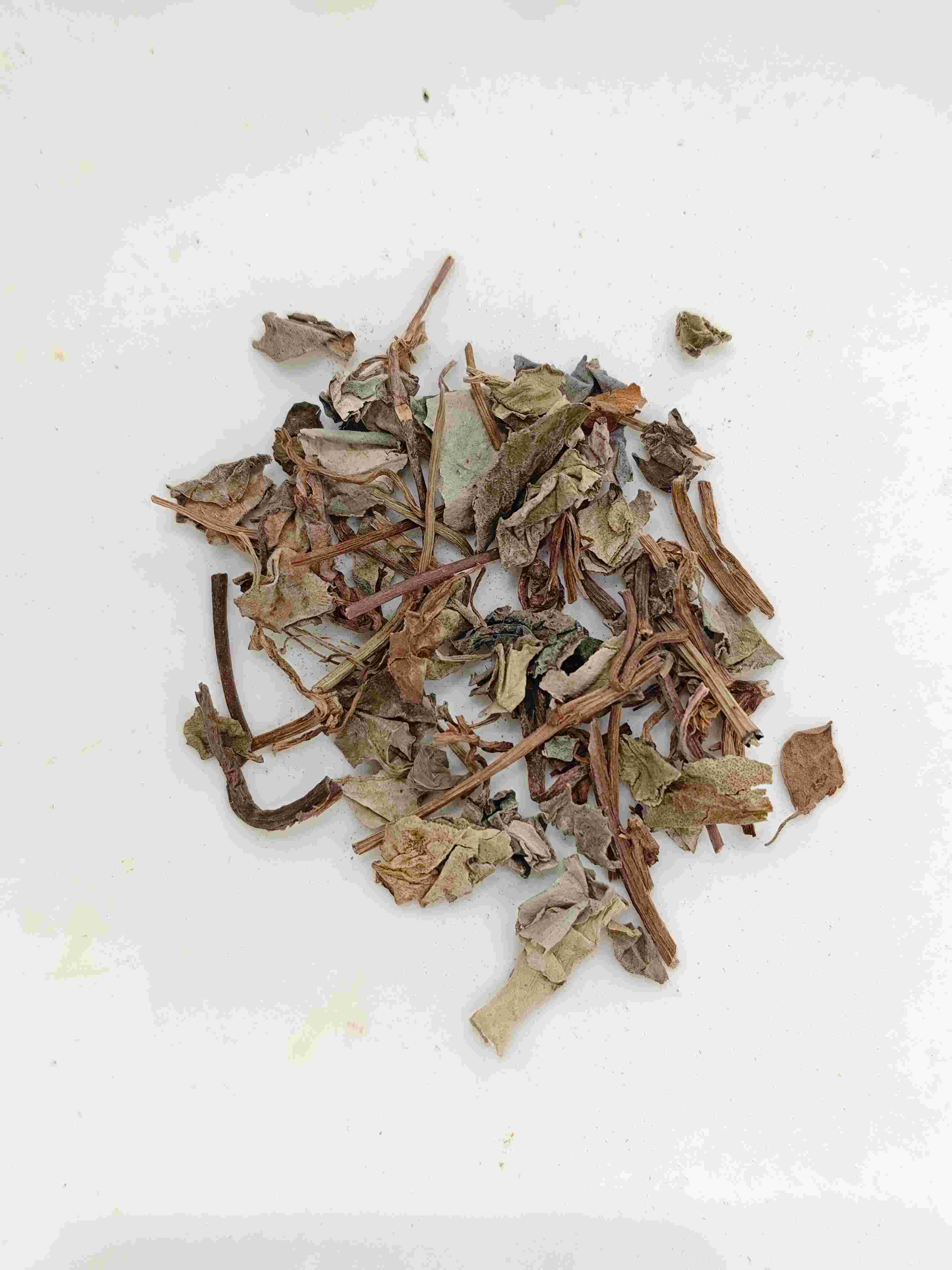 coinweed(jīnqiáncǎo)