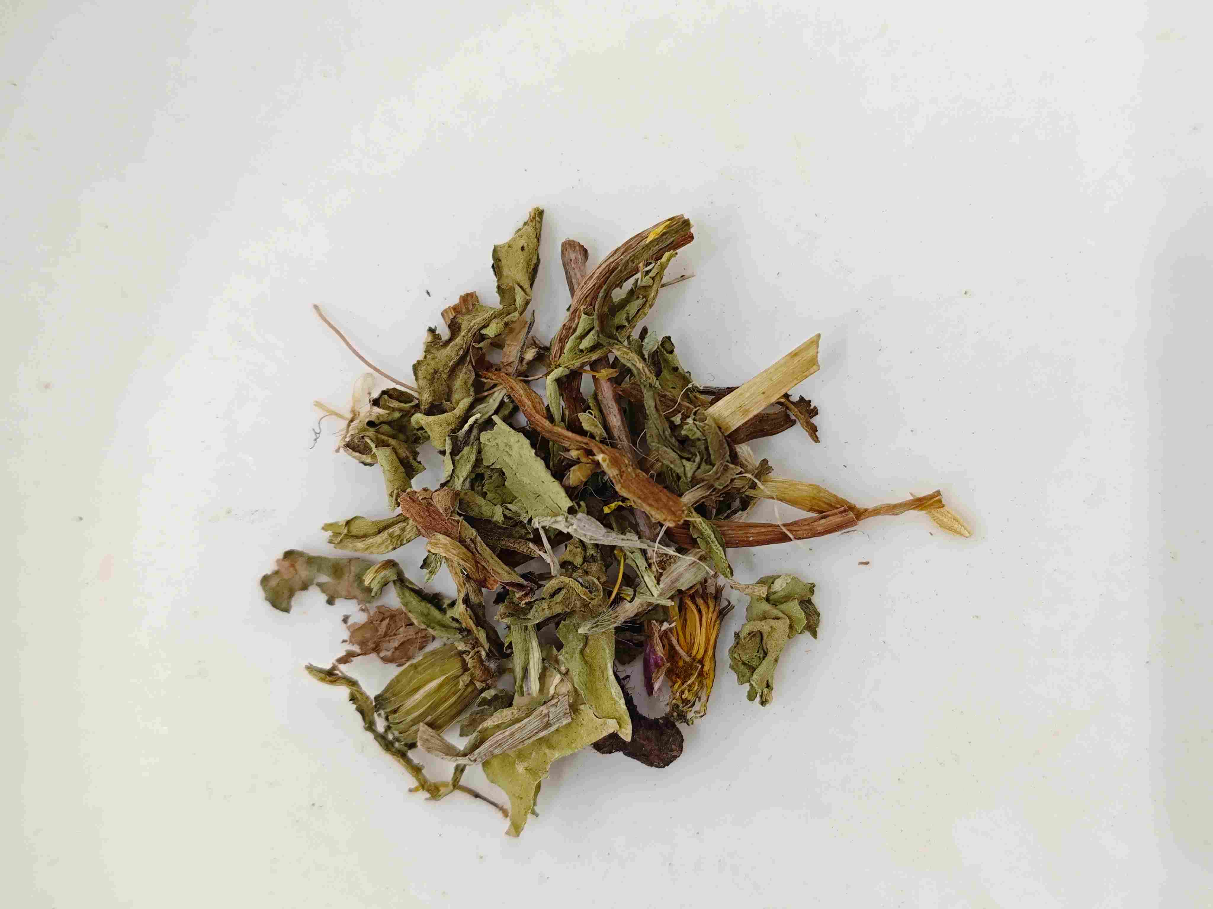 タンポポ(púgōngyīng)