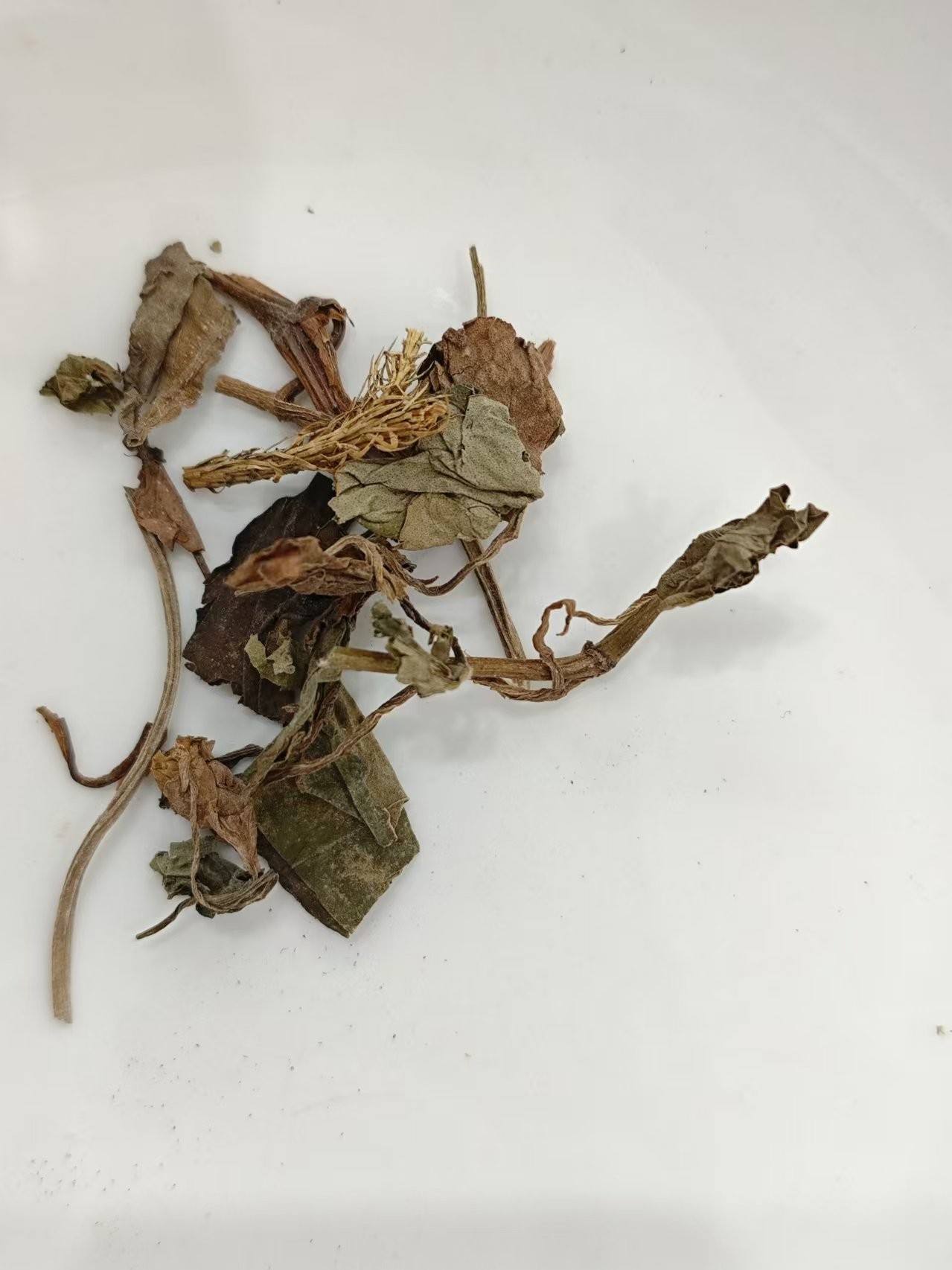 houttuynia(yúxīngcǎo)