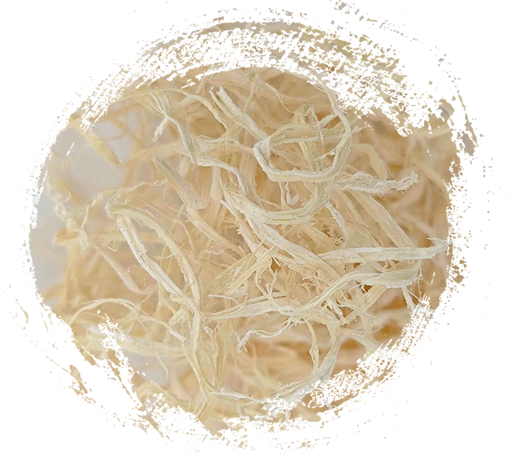 竹の髄（Zh&uacute;r&uacute;）