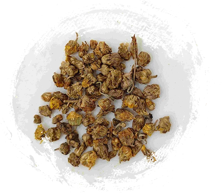 野生の菊（YěJúHuā）