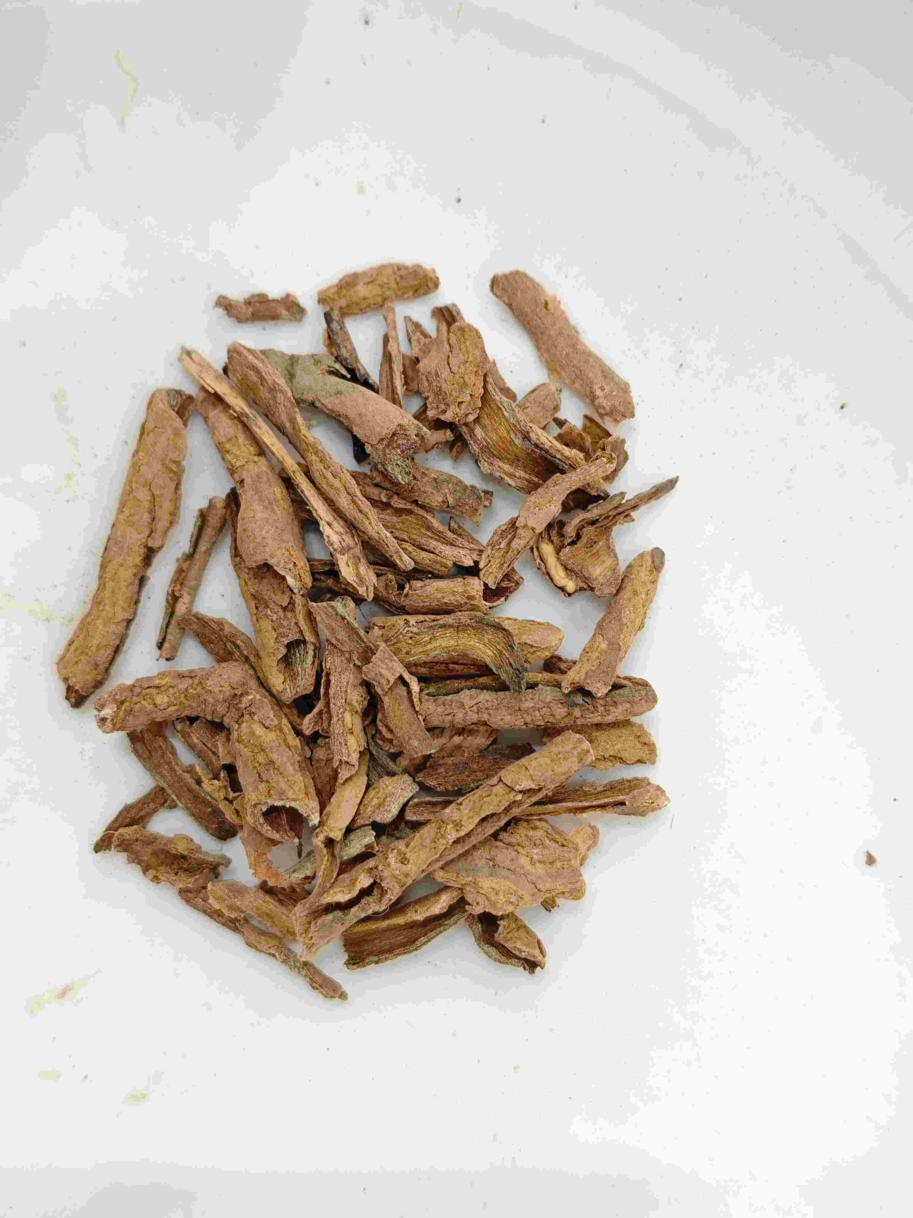 lycium root Bark(dìgǔpí)