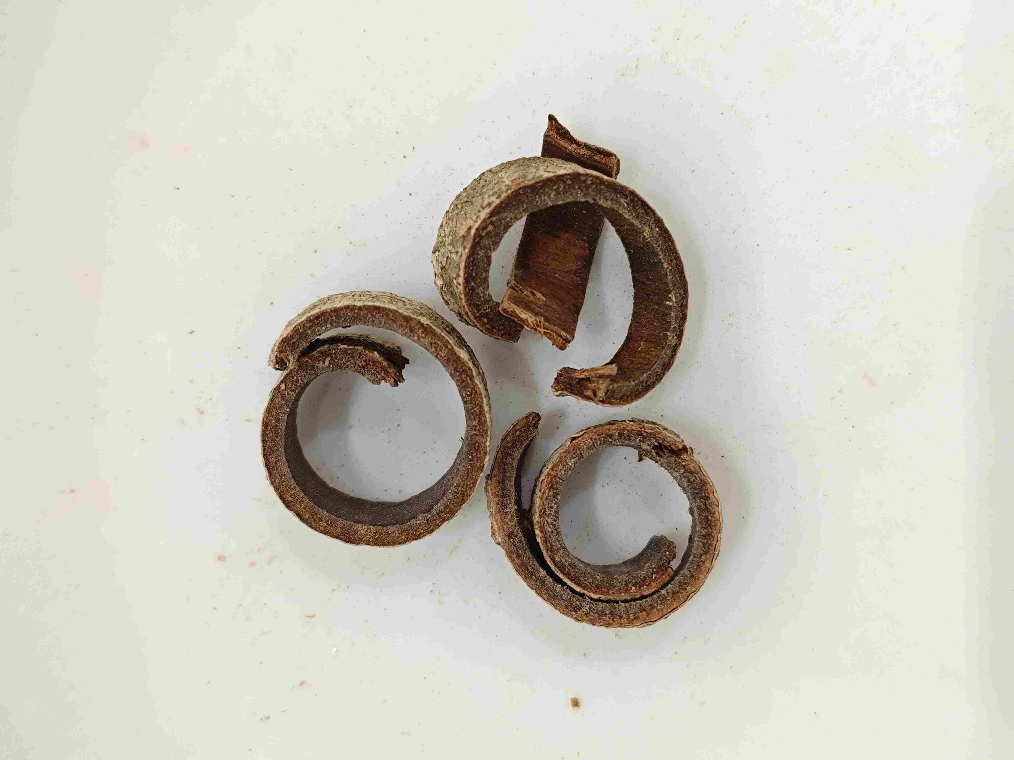 マグノリアバーク(hòupò)