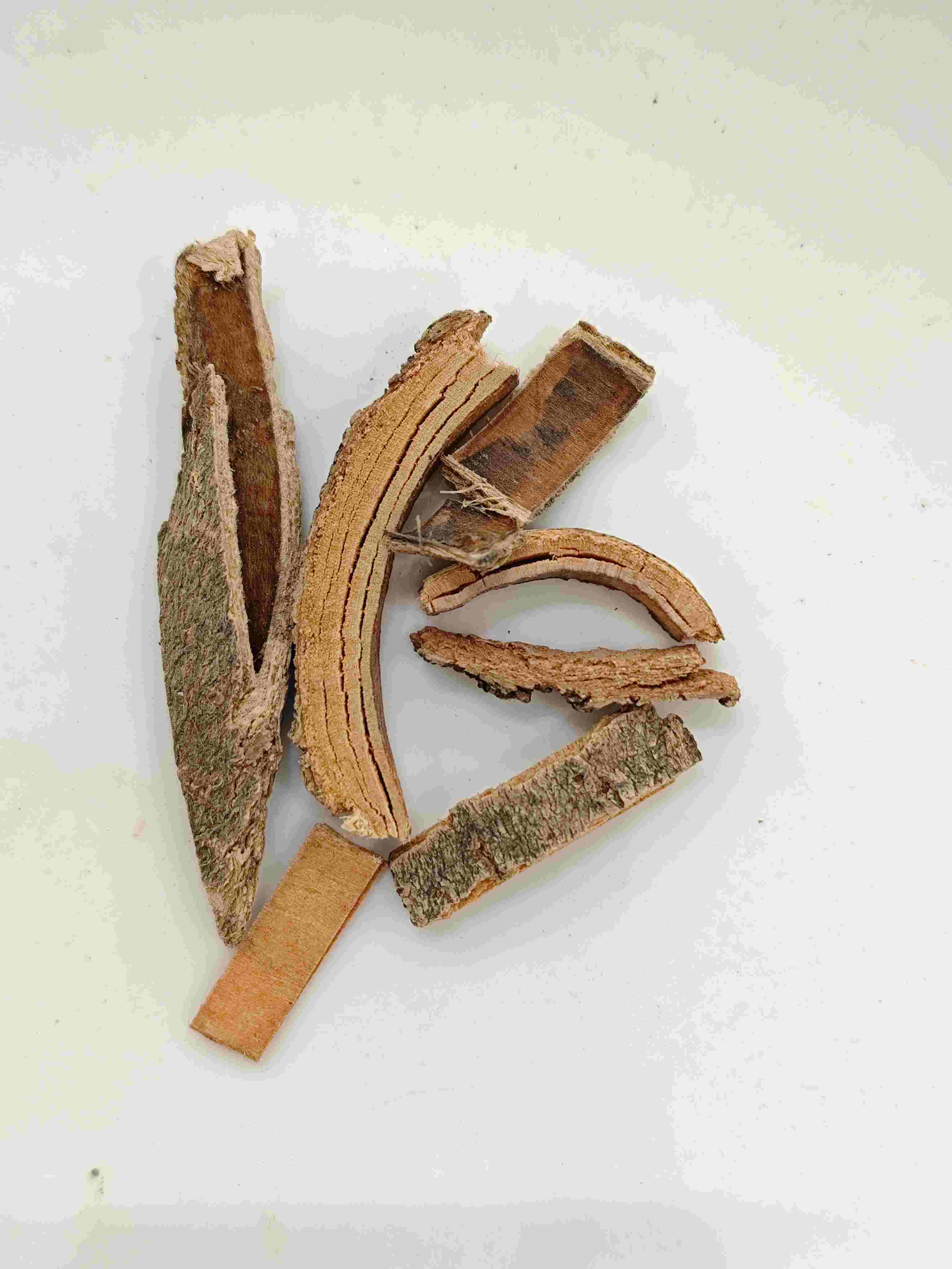 中国の灰の樹皮（Q&iacute;nP&iacute;）