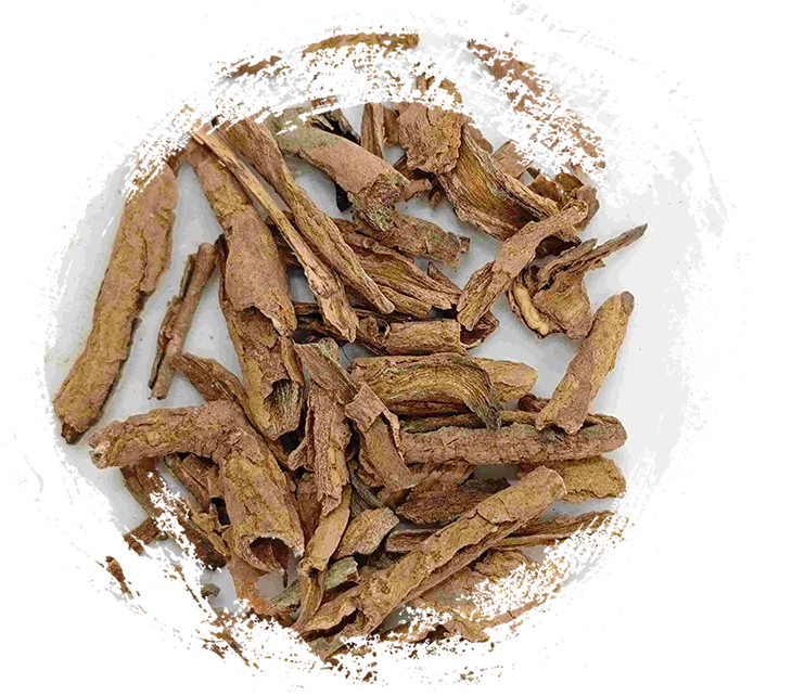 lycium root Bark（dìgǔpí）