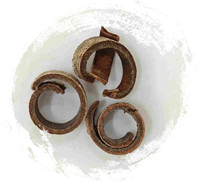 マグノリアバーク（hòupò）