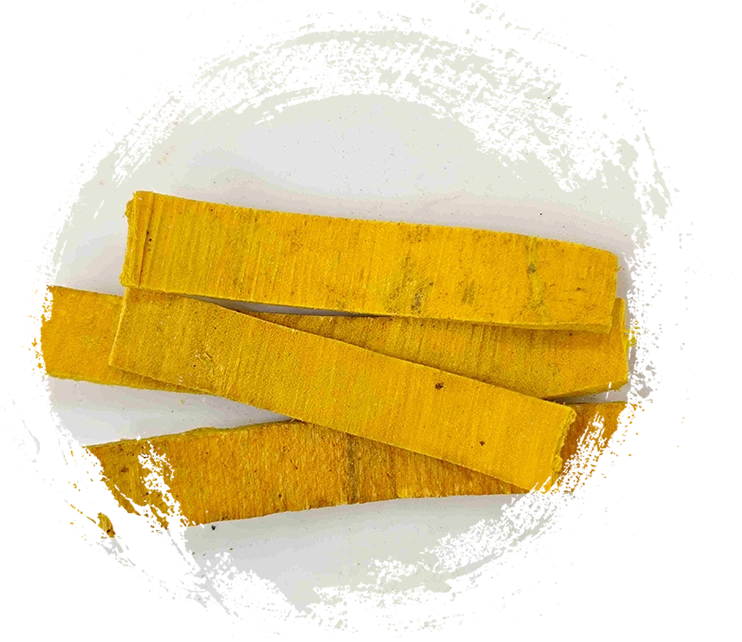 フェロデンドロンバーク（Huángbò）