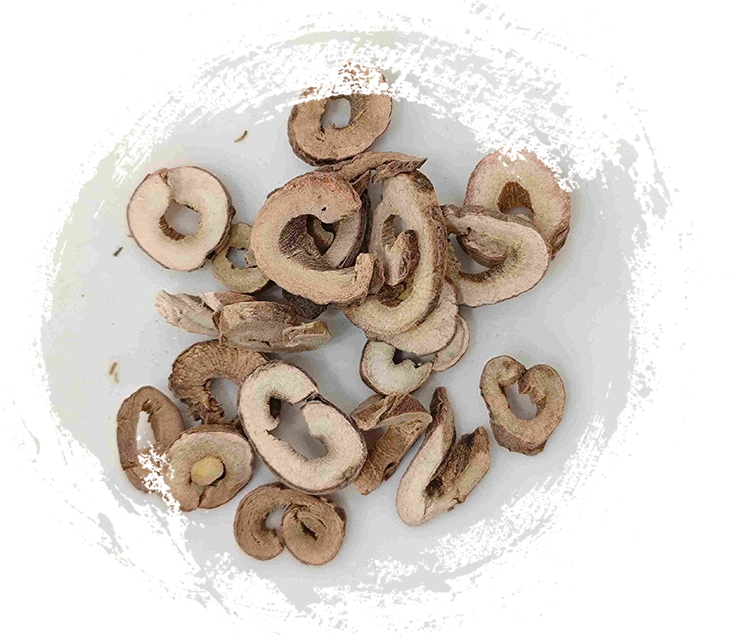 木の牡丹の樹皮（mǔdānpí）