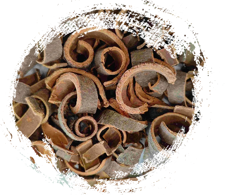 中医学の薬草の主な治癒特性と特徴