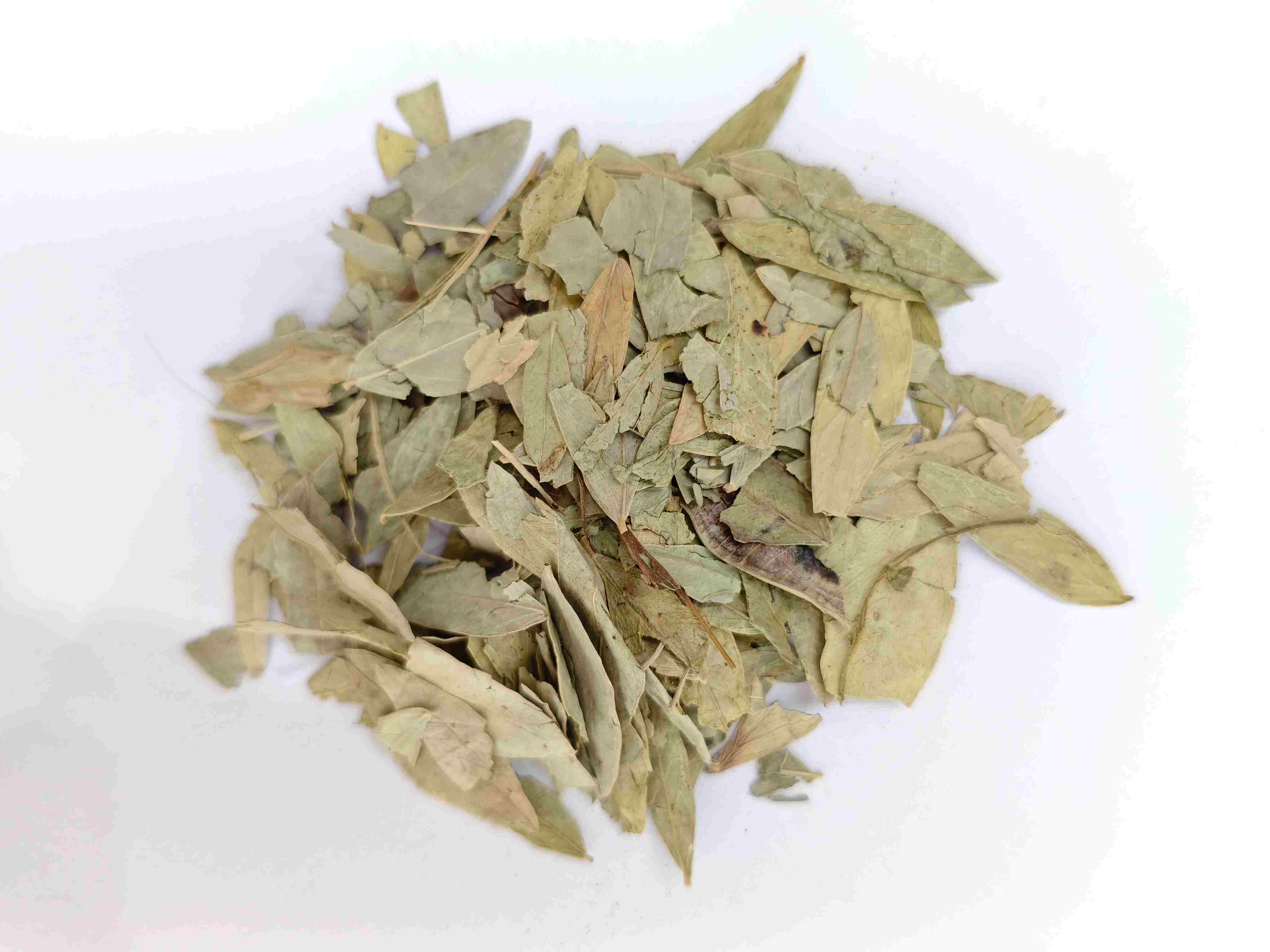 セナリーフ(fānxièyè)