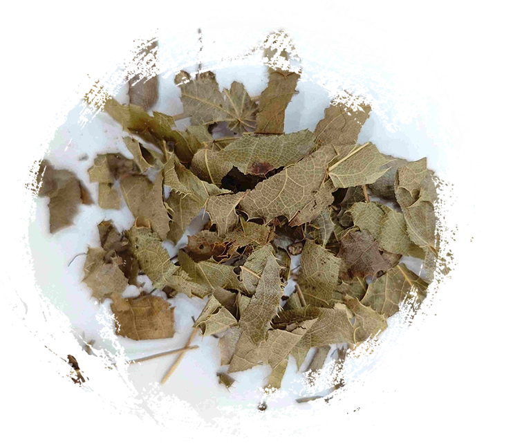 エピメディウム（YínyángHuò）