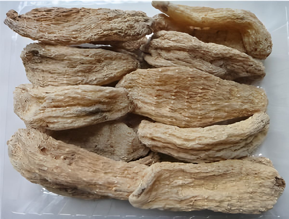HubeiのShennongjia gastrodia elata